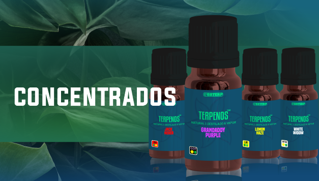 Terpenos Gosesh Brasil