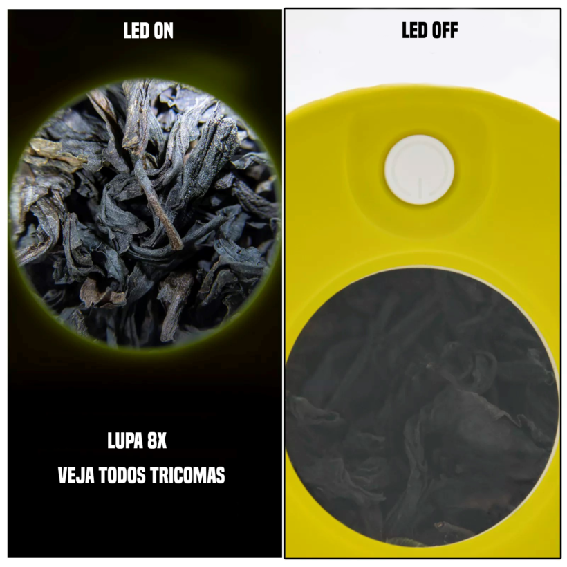 H53c378f2c5944327bc9fcbf1f58bc27fi