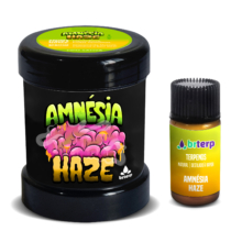 BRTERP_AMNESIAHAZE_POTE_mockup_1200x